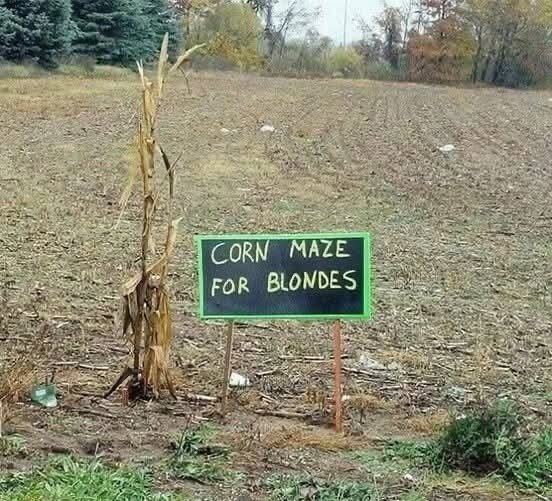 quarter twenty corn.jpg